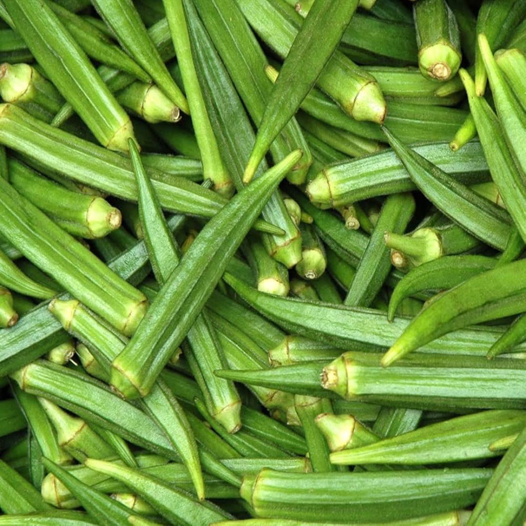 Green Short Lady Finger Okra for Fast Cooking and Fresh Meals