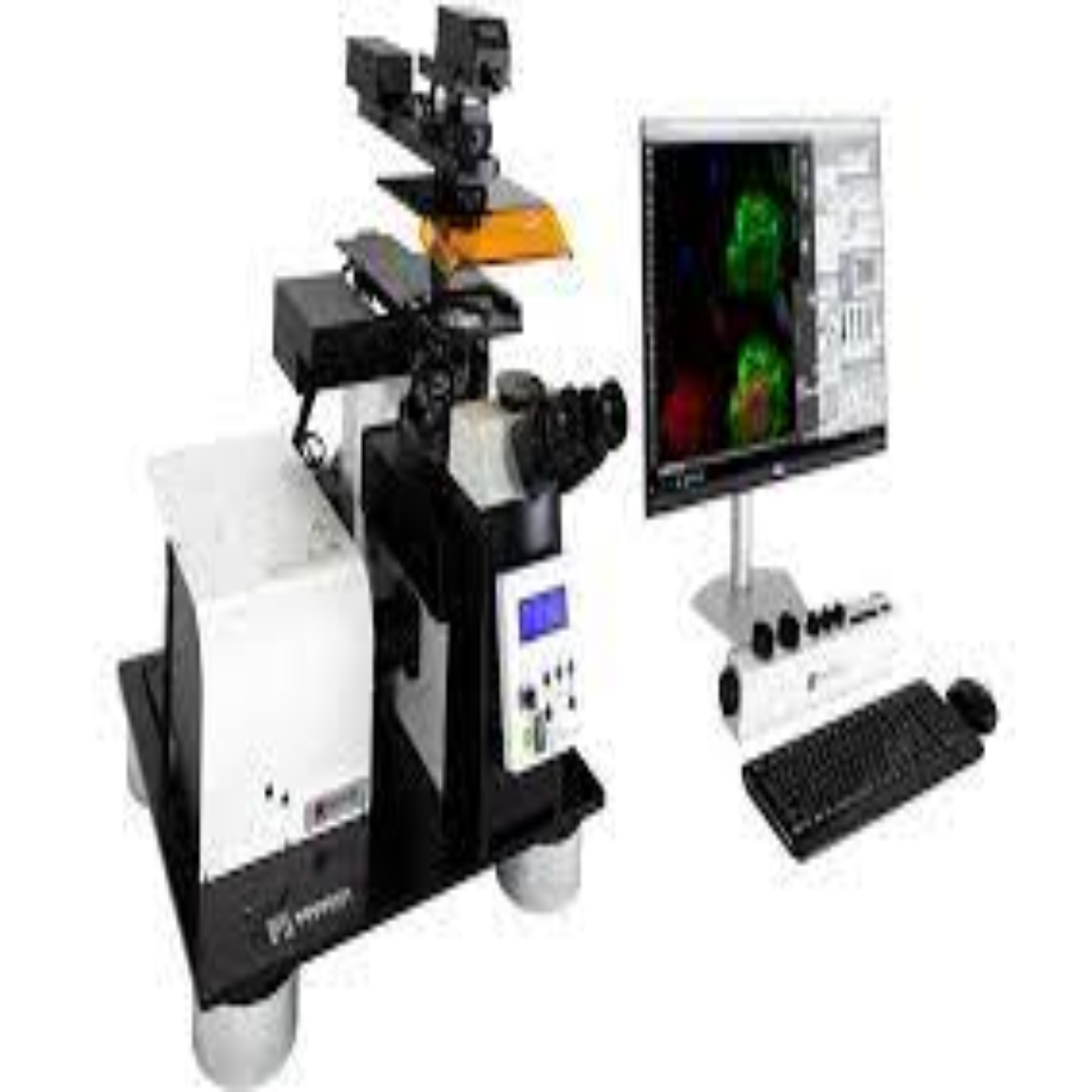 Laser Scanning Confocal Microscope for Live Cell Imaging
