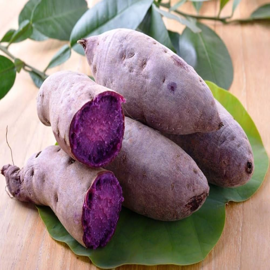 Japanese Sweet Potato for Rich Taste and Premium Nutrition