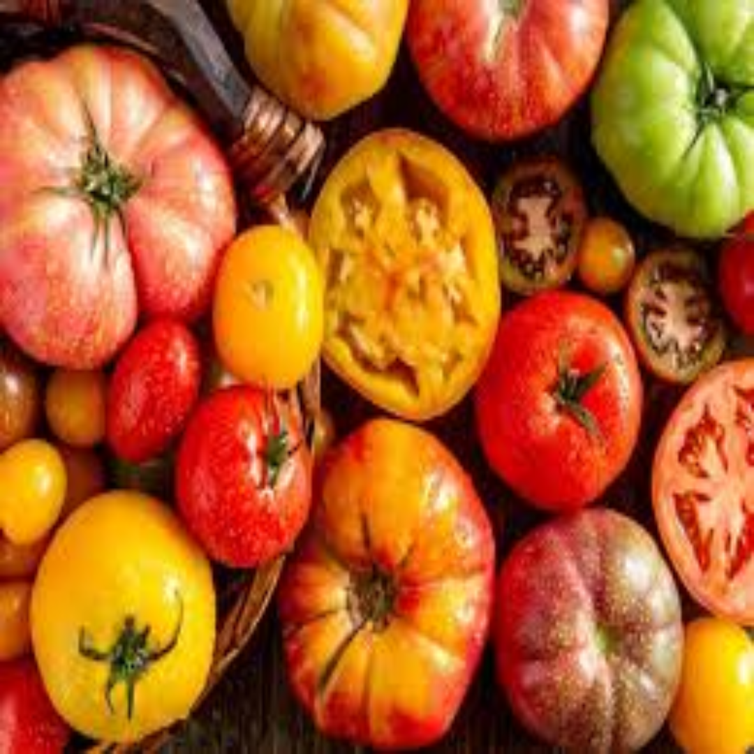 Distributor of Tomato Heirloom in UAE