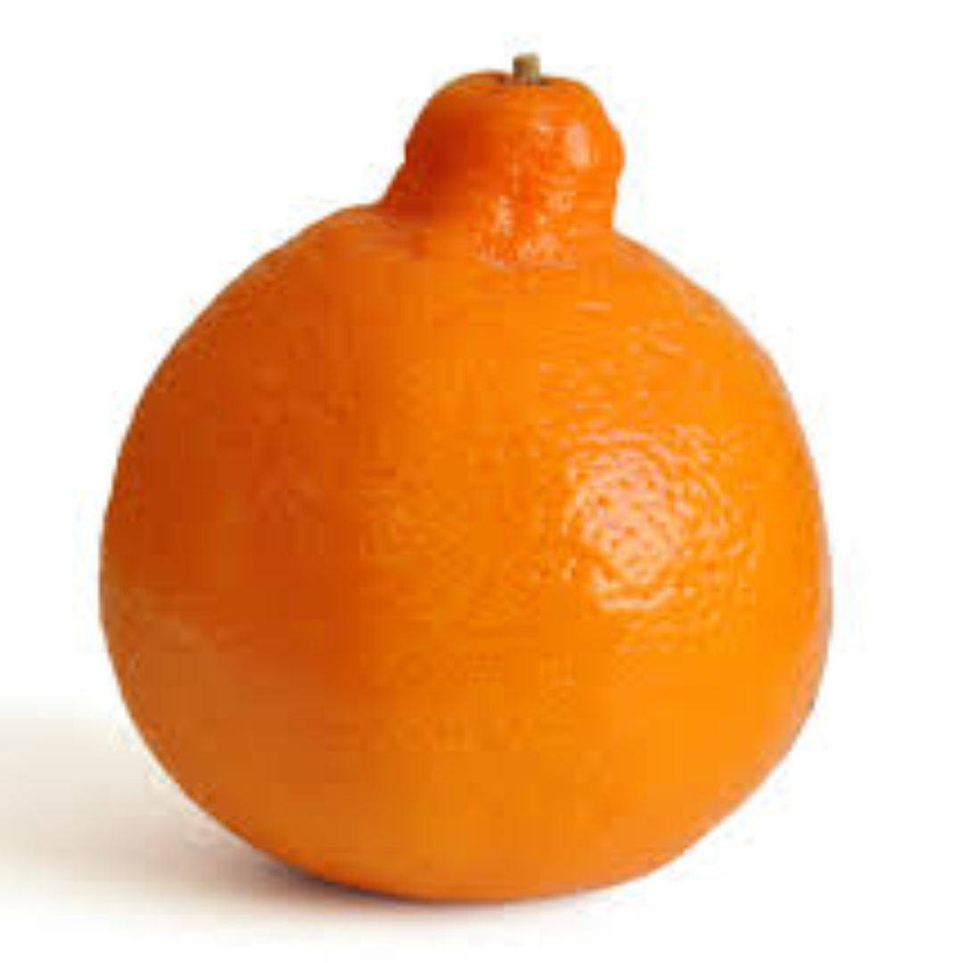 Fresh Tangelo Orange Sweet Juicy Citrus Fruit Rich in Vitamin C for Healthy Diet and Refreshment