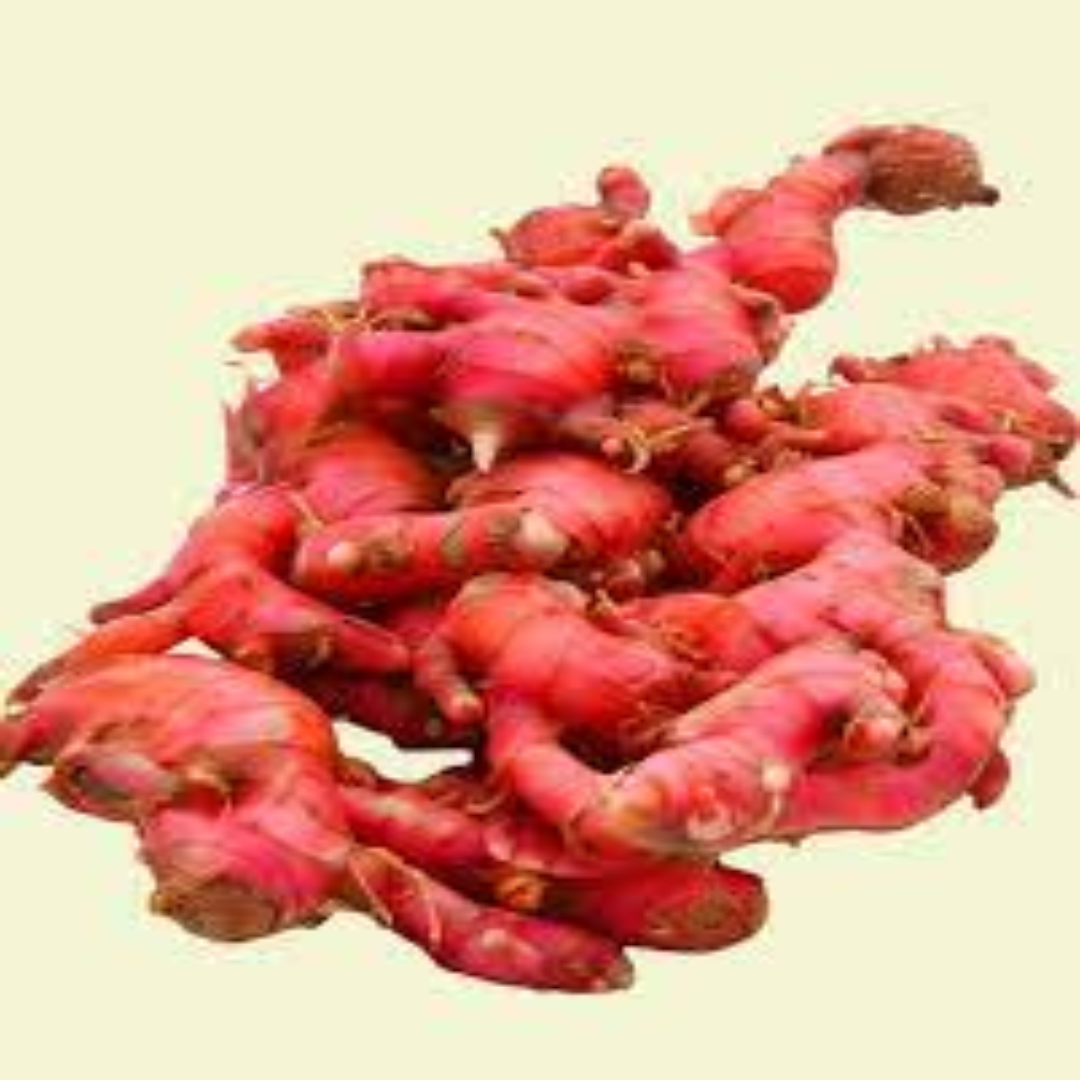 Red Ginger for Strong Heat and Exotic Warm Spice Aroma