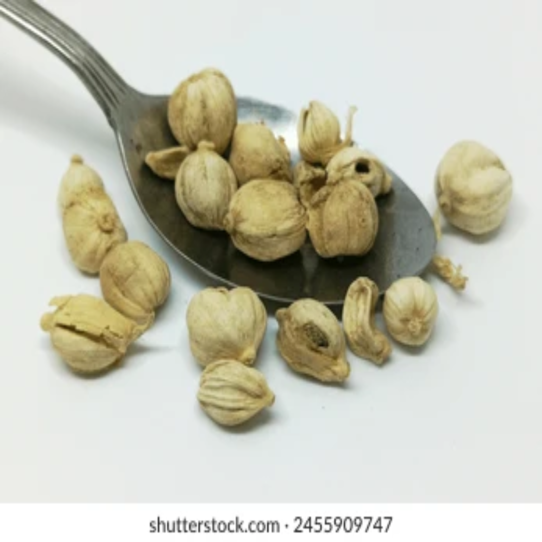 Round Cardamom Wholesale For Rich Spicy Flavor