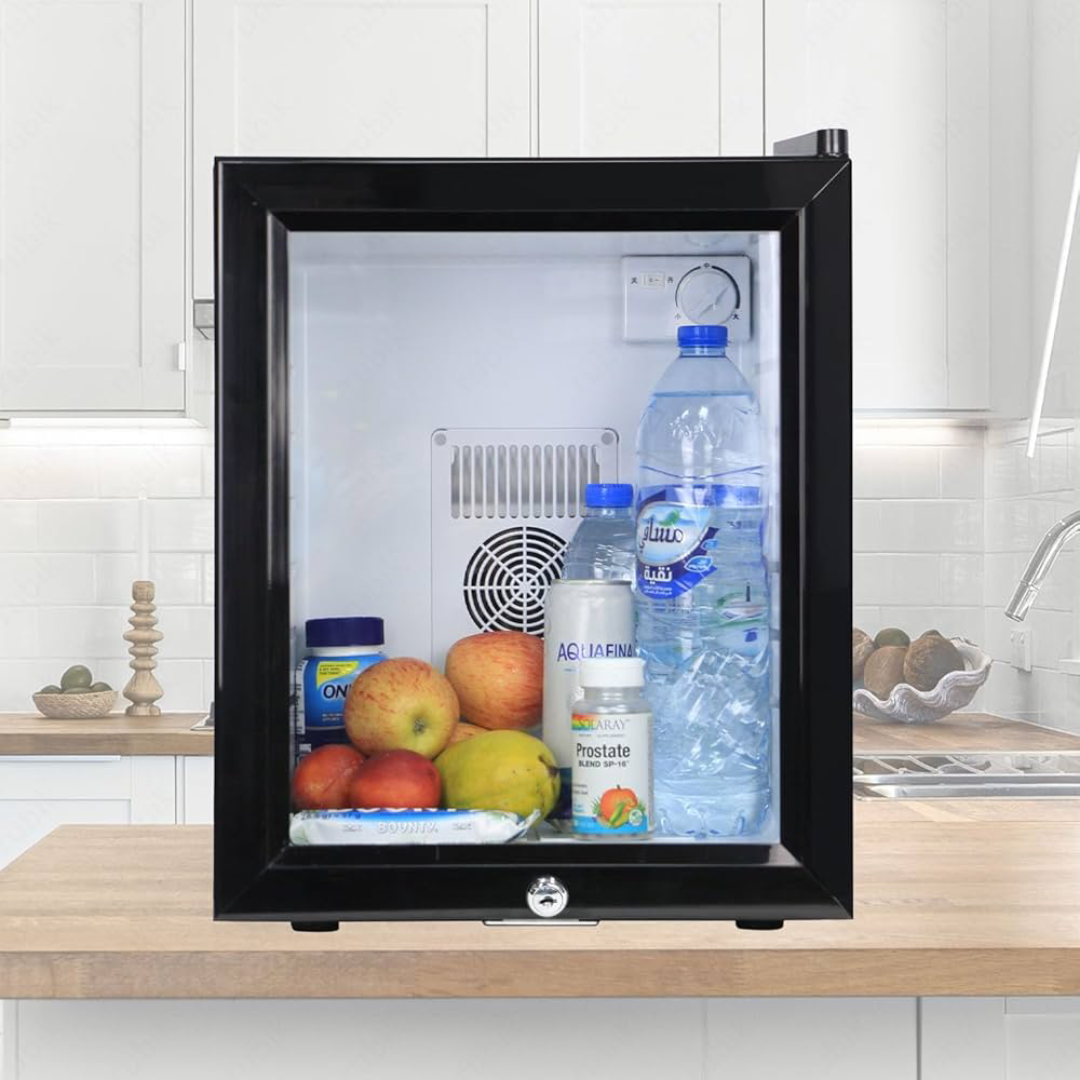 Mini Refrigerators Perfect for Home and Office Use