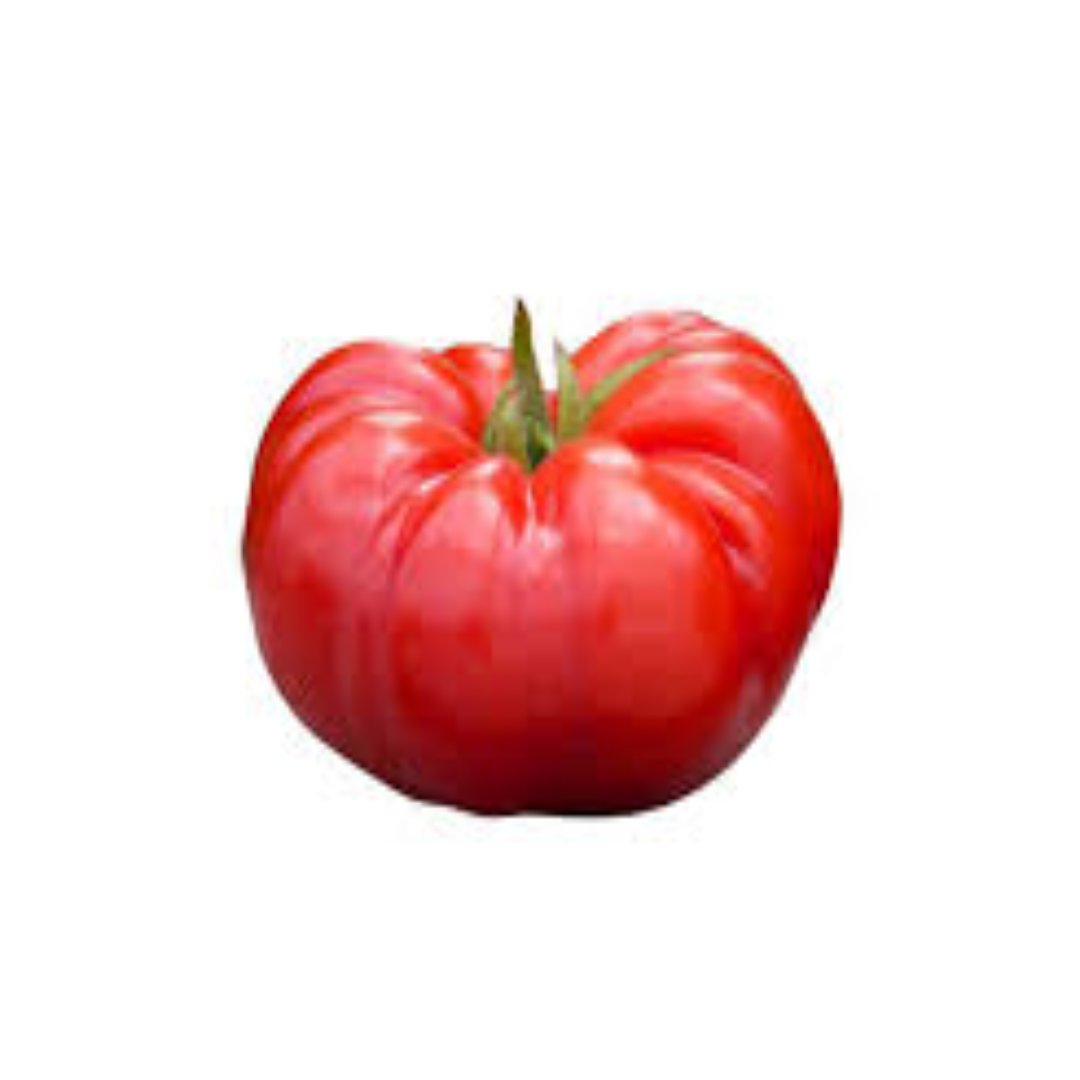 Fresh Beefsteak Tomatoes Premium Large Juicy Red Tomatoes for Salads Sandwiches and Cooking