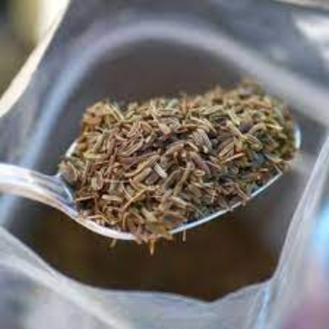 Wild Cumin with Strong Aroma for Traditional Dishes