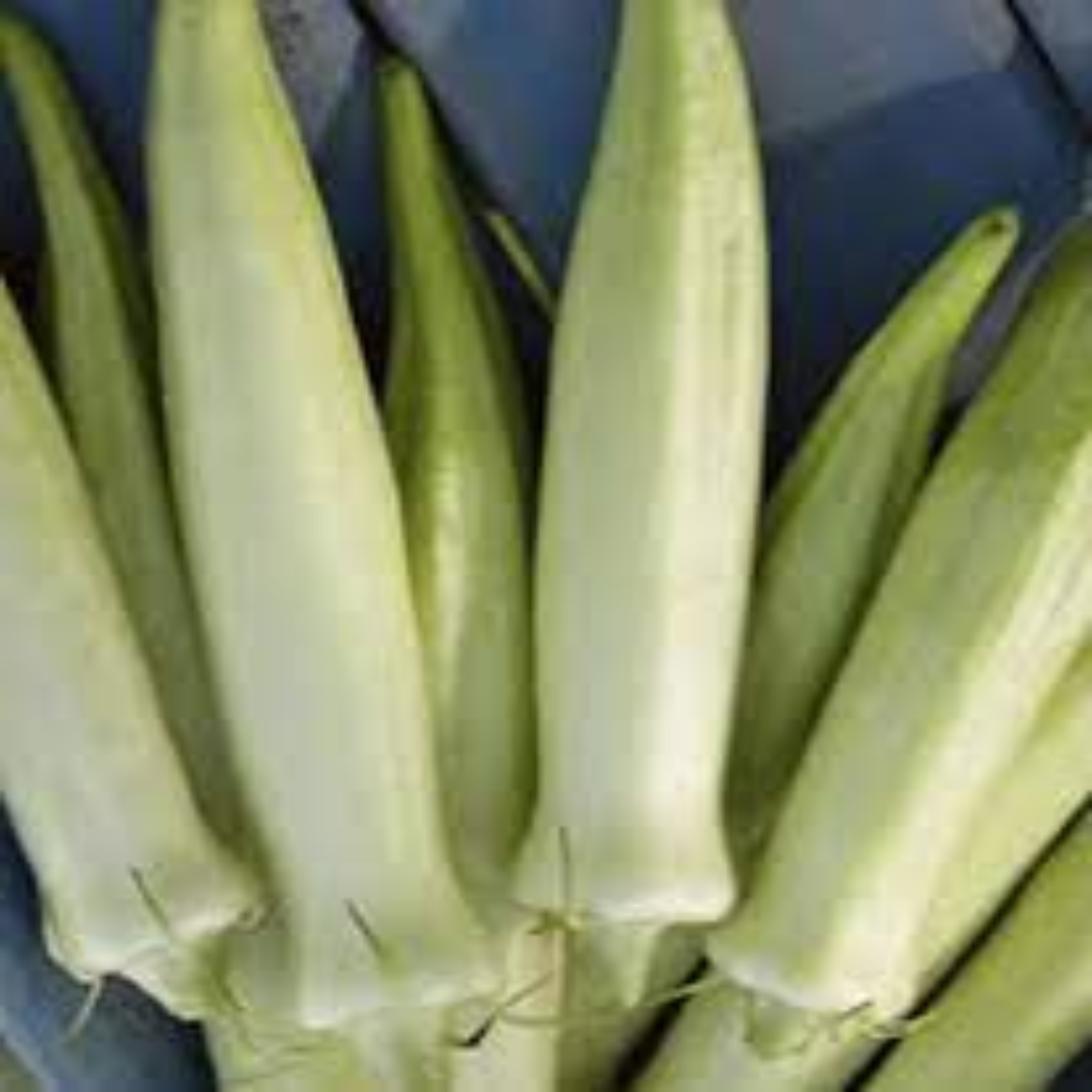 Okra White Lady Finger for Fresh Crisp Home-Style Cooking