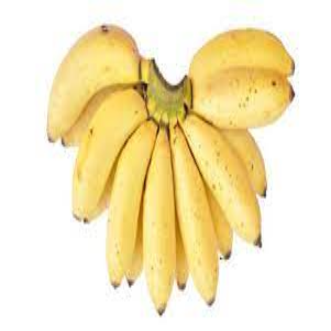 Premium Cavendish Bananas for Global Supply and Trade