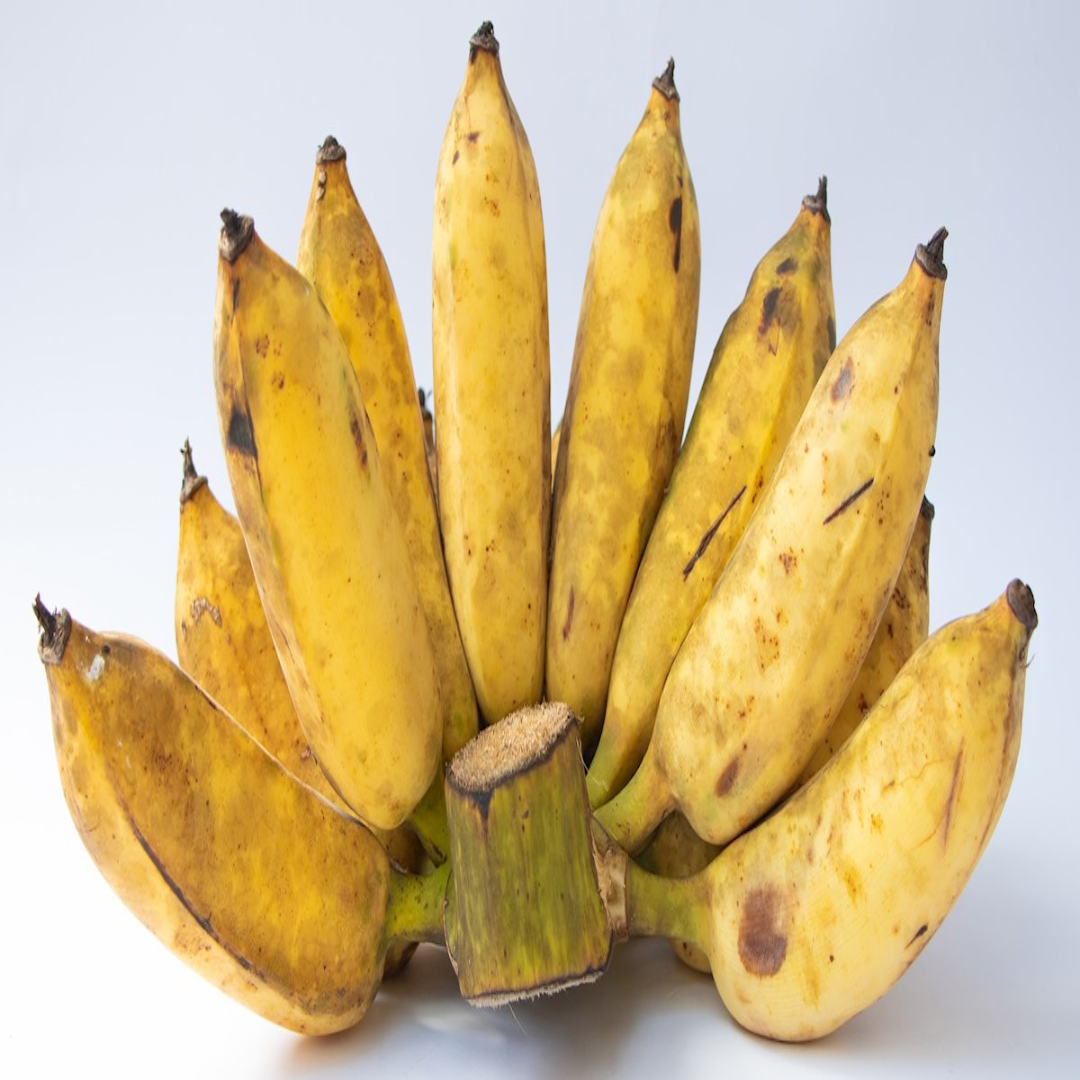 Pisang Raja Bananas for Premium Export Trade Markets