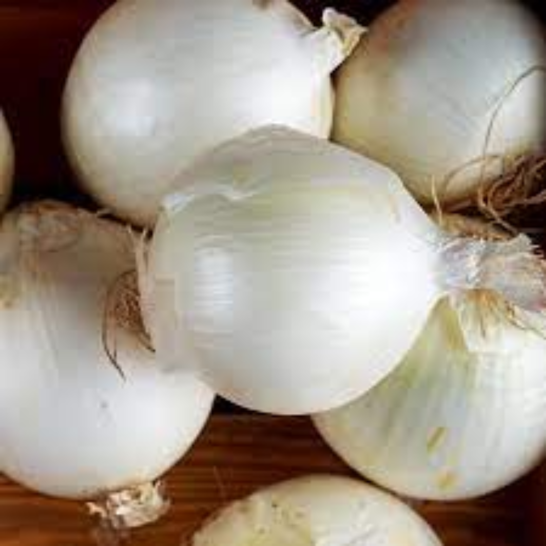 White Onion with crisp sharp flavor for global recipes