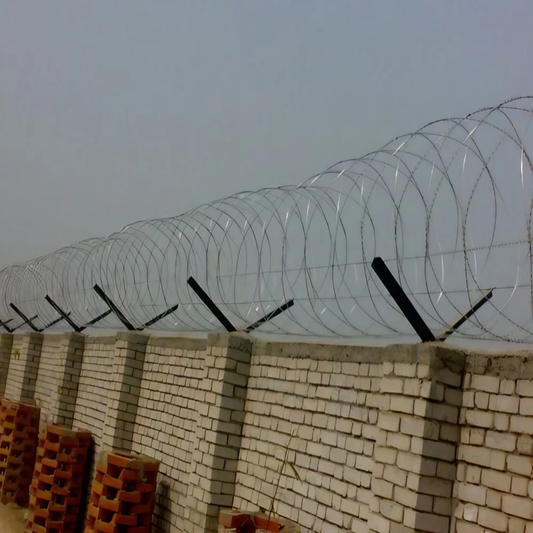 Sharp Metallic Wall Fencing, Standard Size