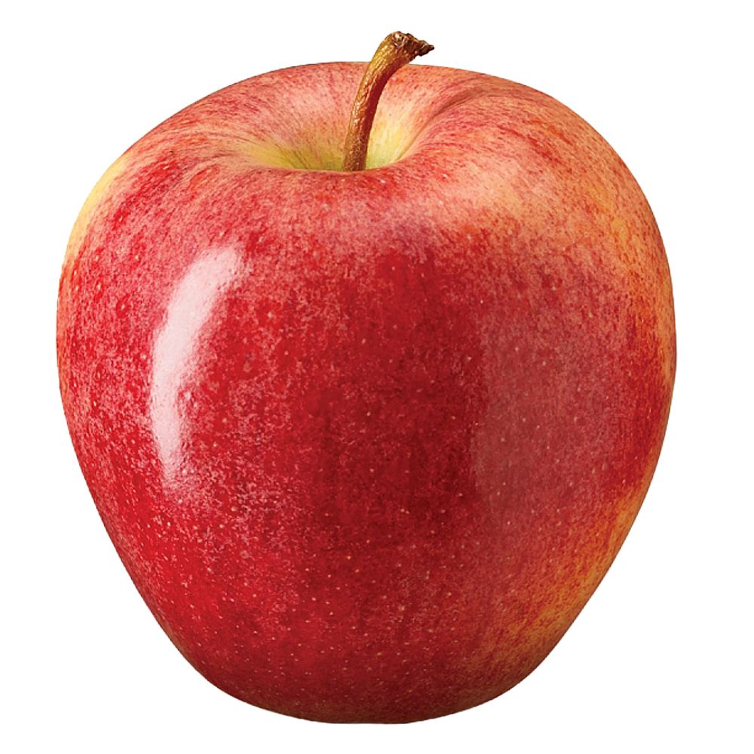 Gala Apples for Fresh Produce Export and Global Markets