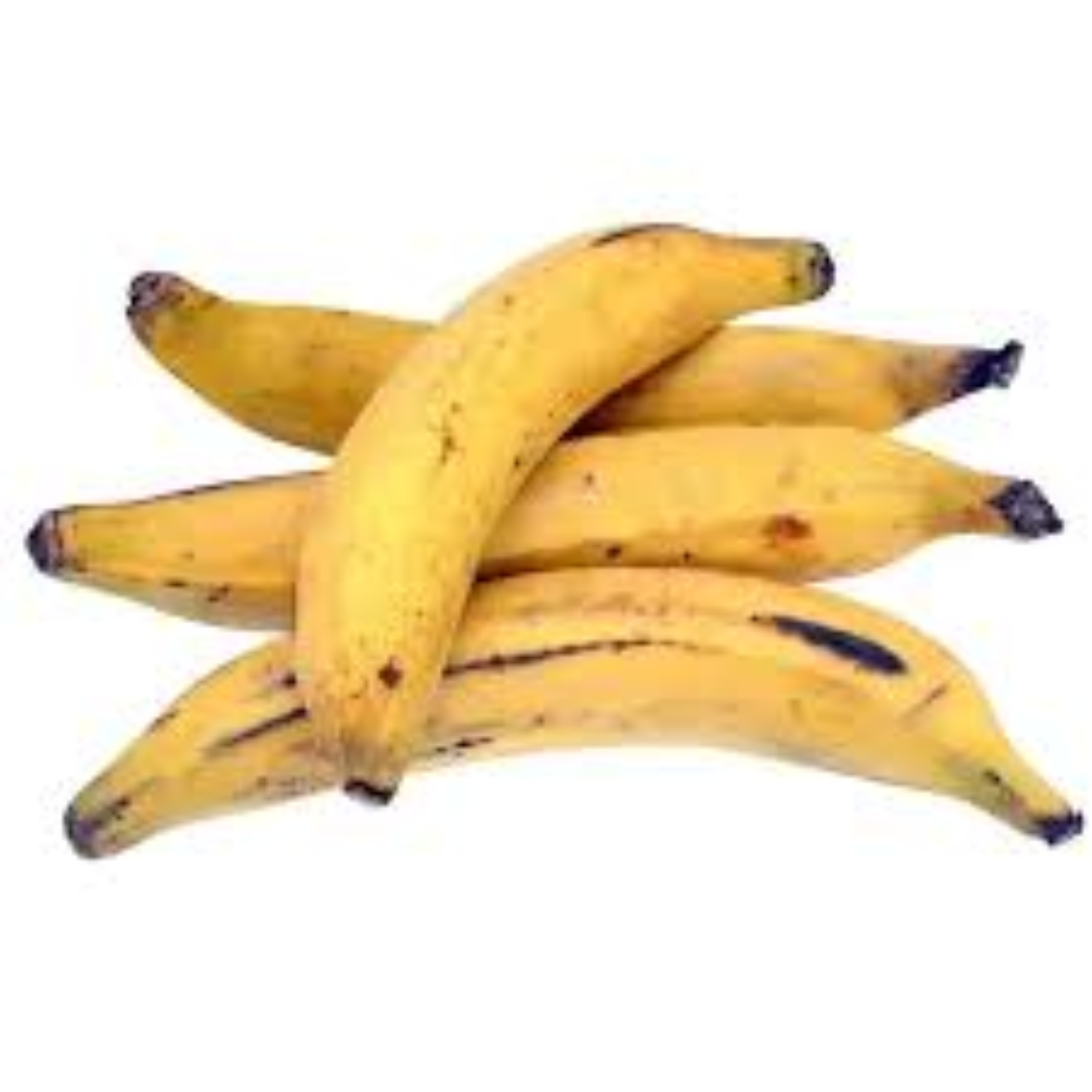 Plantain Bananas for Foodservice Export and Trade Buyers