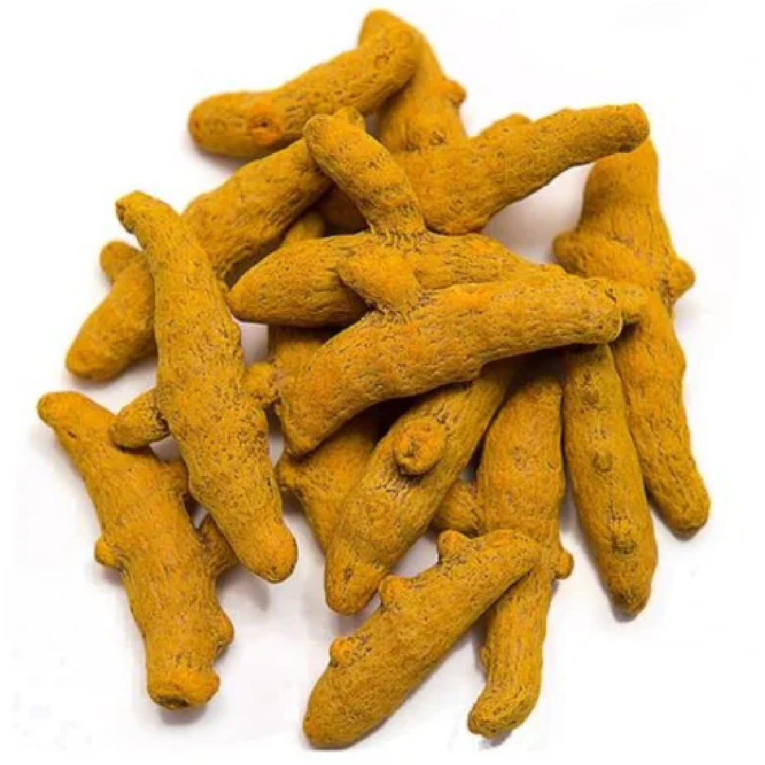 Organic Turmeric Finger – Wholesale & Supplier from India