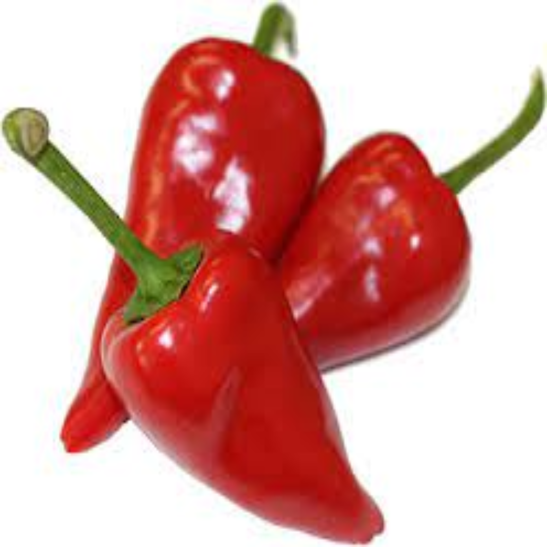 Piquillo Chili for Sweet Heat in Authentic Spanish Cuisine