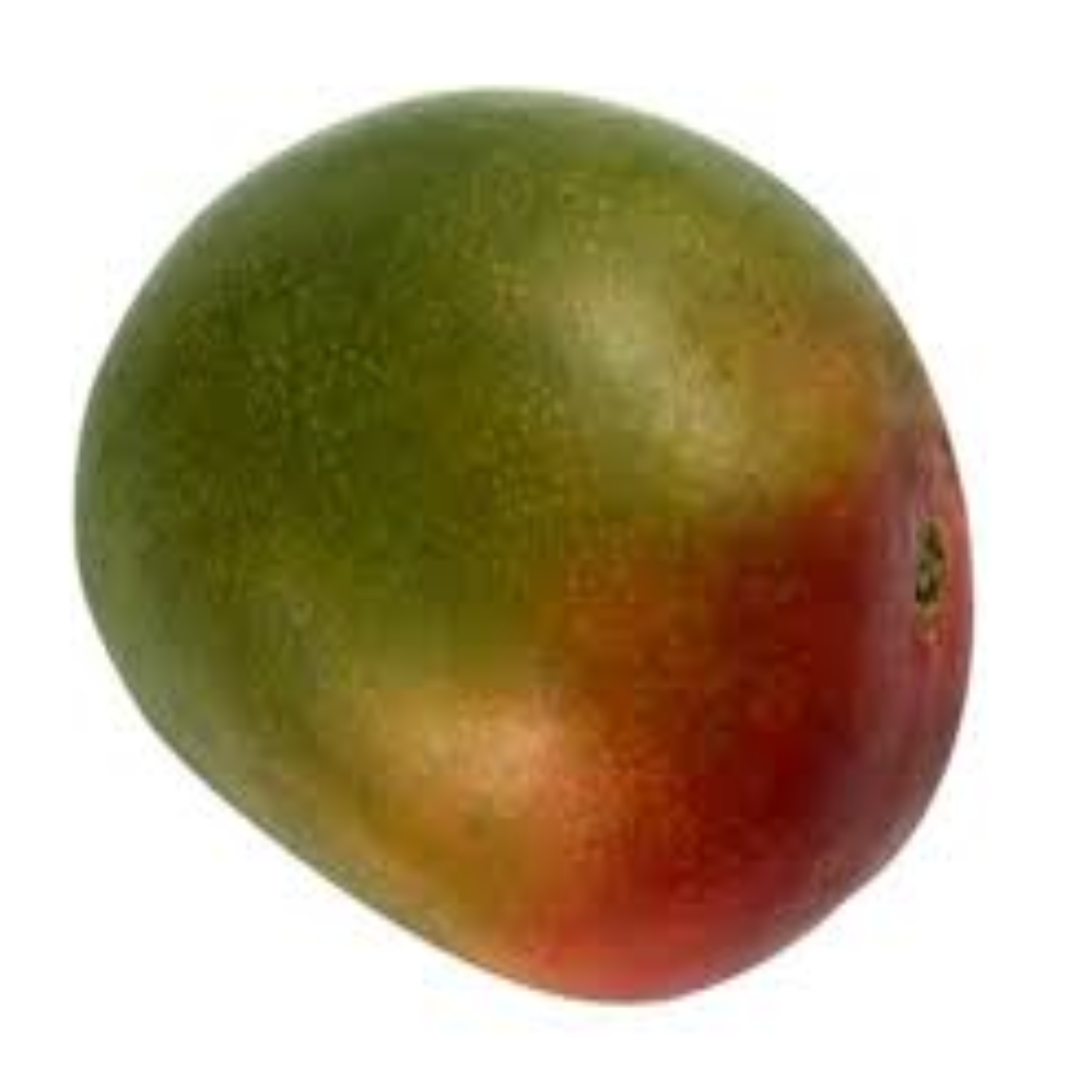Kent Mango Appreciated for Low Fiber and Juicy Natural Flavor