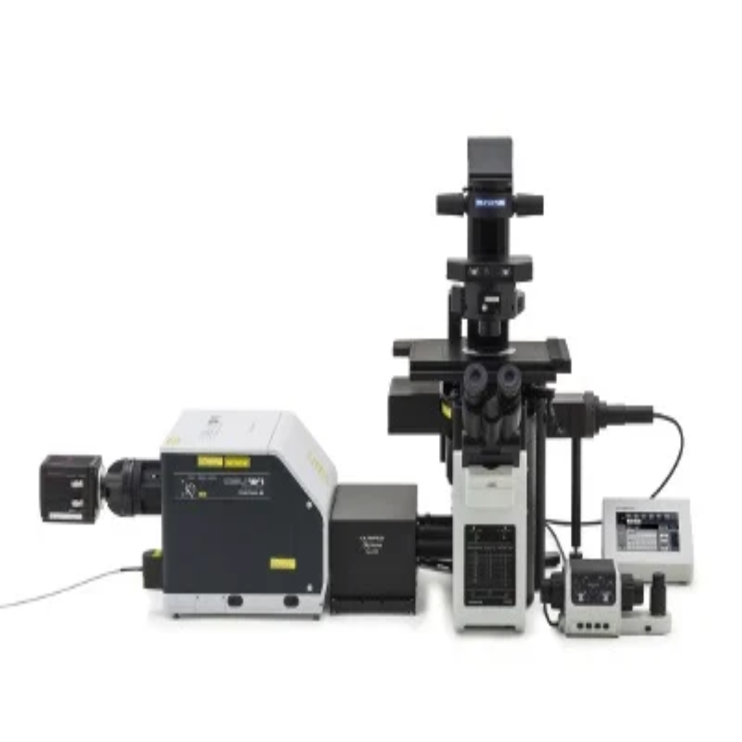 Spinning Disk Confocal Microscopes For Precise Imaging