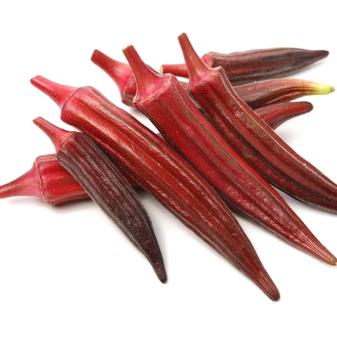 Okra Rose Lady Finger for Fresh Vegetable Export Supply