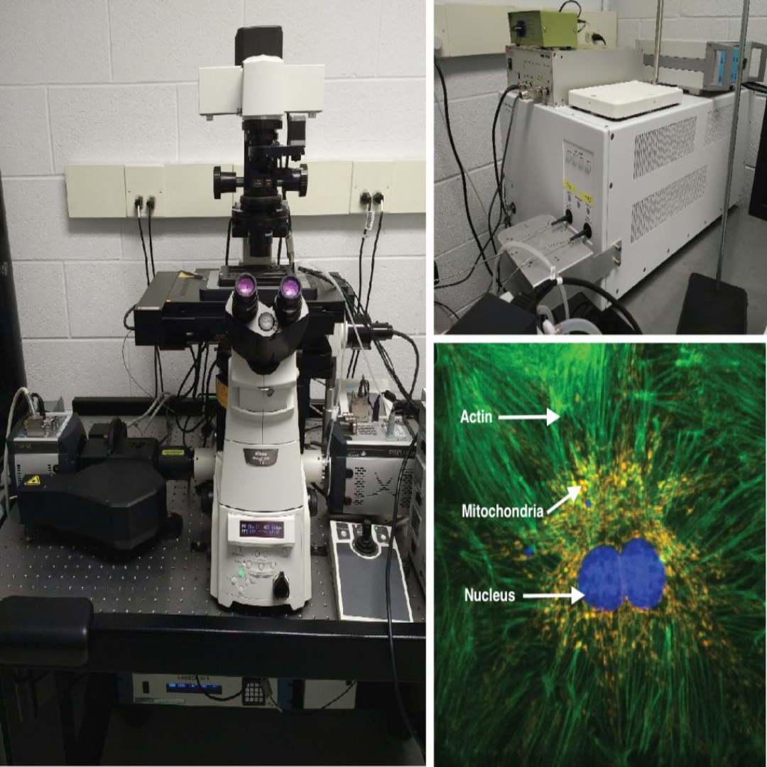 Swept-Field Confocal Microscopes For High-Resolution Labs