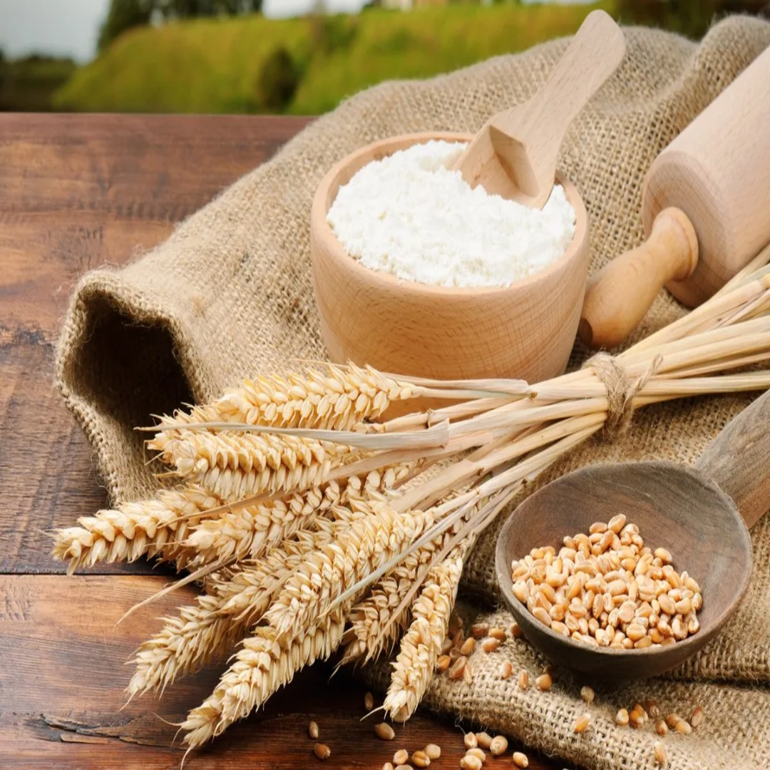 Wheat Flour for Reliable Performance in Daily Cooking Needs
