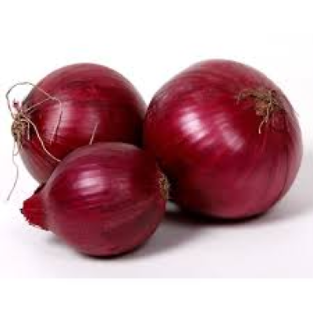 Red Onion for International Trade and Produce Distribution