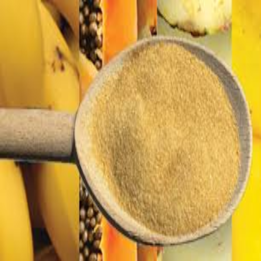 Dehydrated Tropical Fruit Powders Supplier Fresh