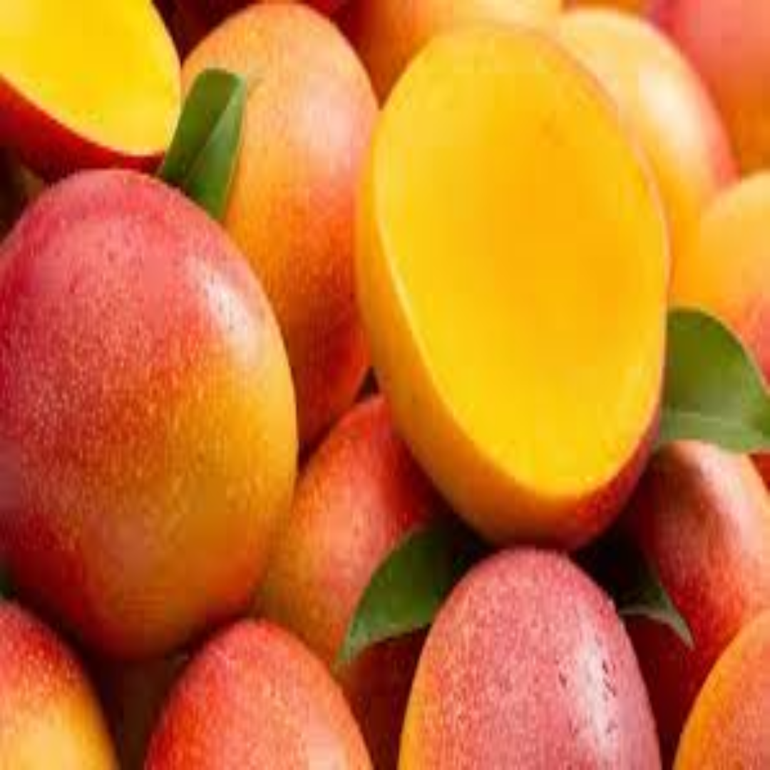 Kent Mangoes Valued for Juicy Flesh and Smooth Texture