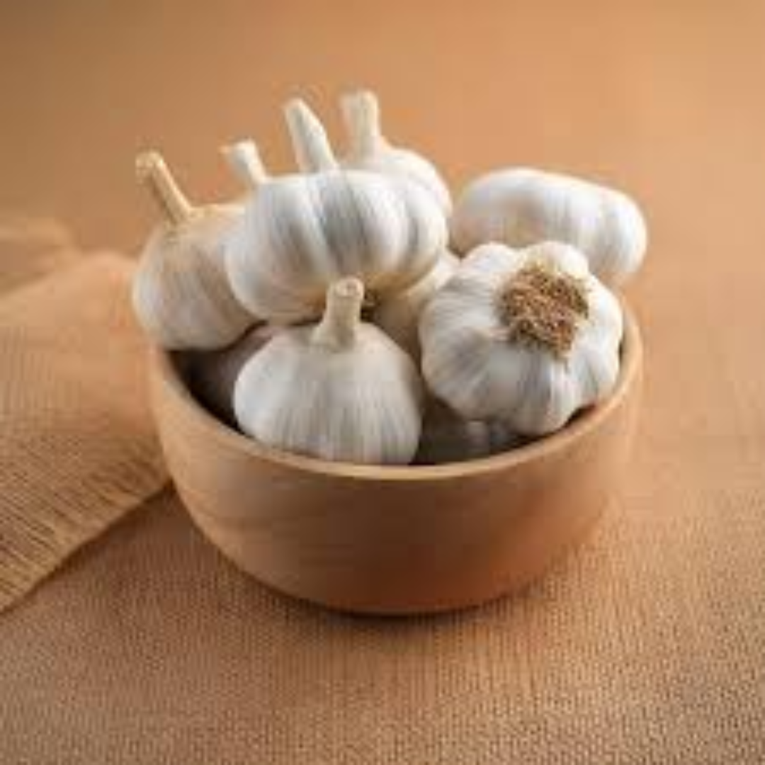Garlic Distributor & Supplier in UAE