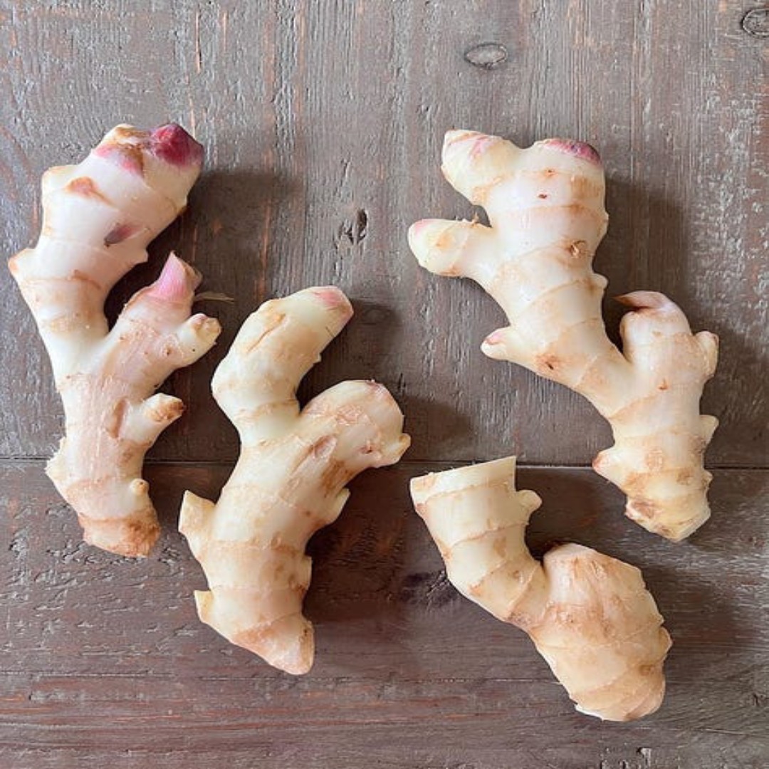 Baby Ginger Offering Mild Heat for Gourmet Cooking