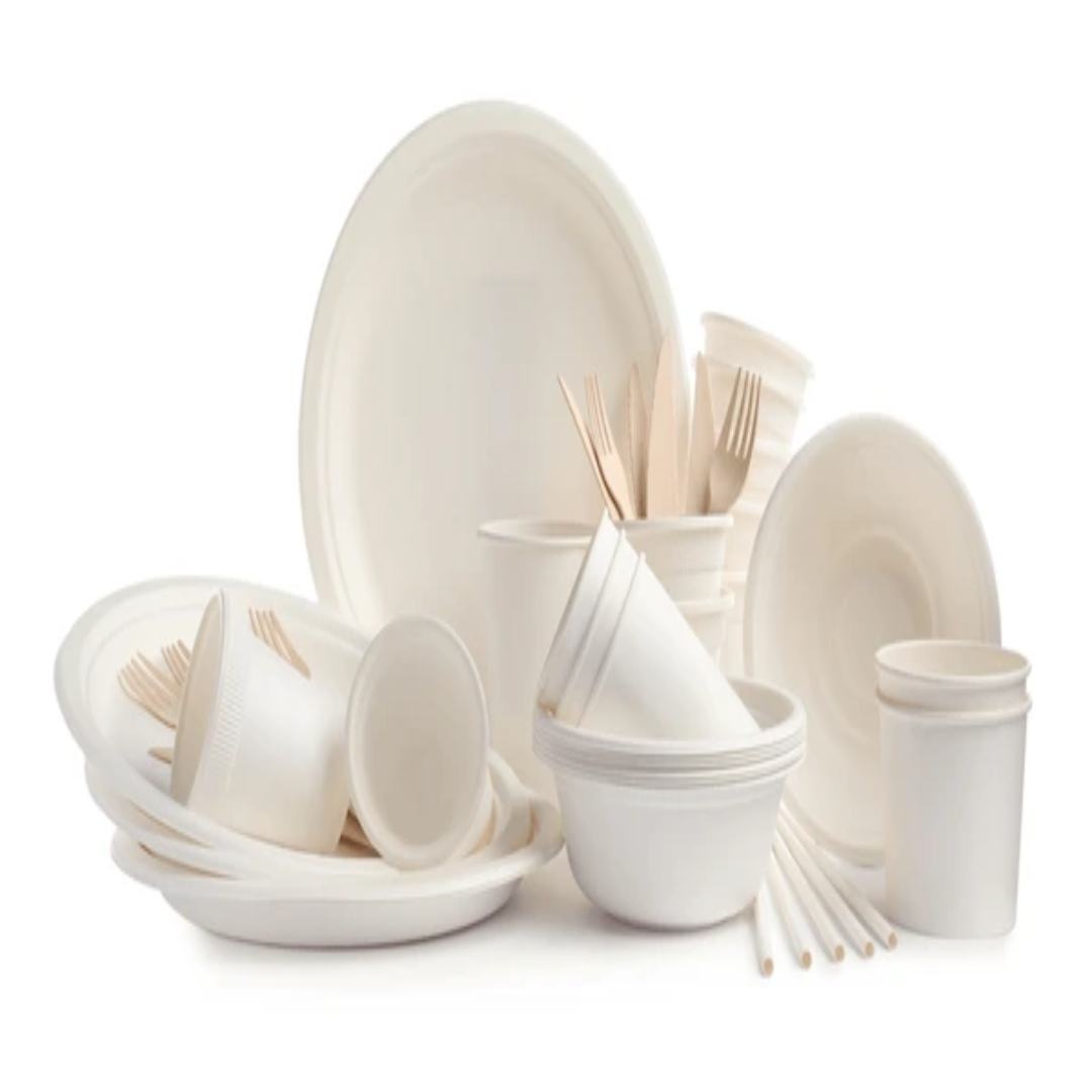Disposable Plates & Cups Party Supplies UAE