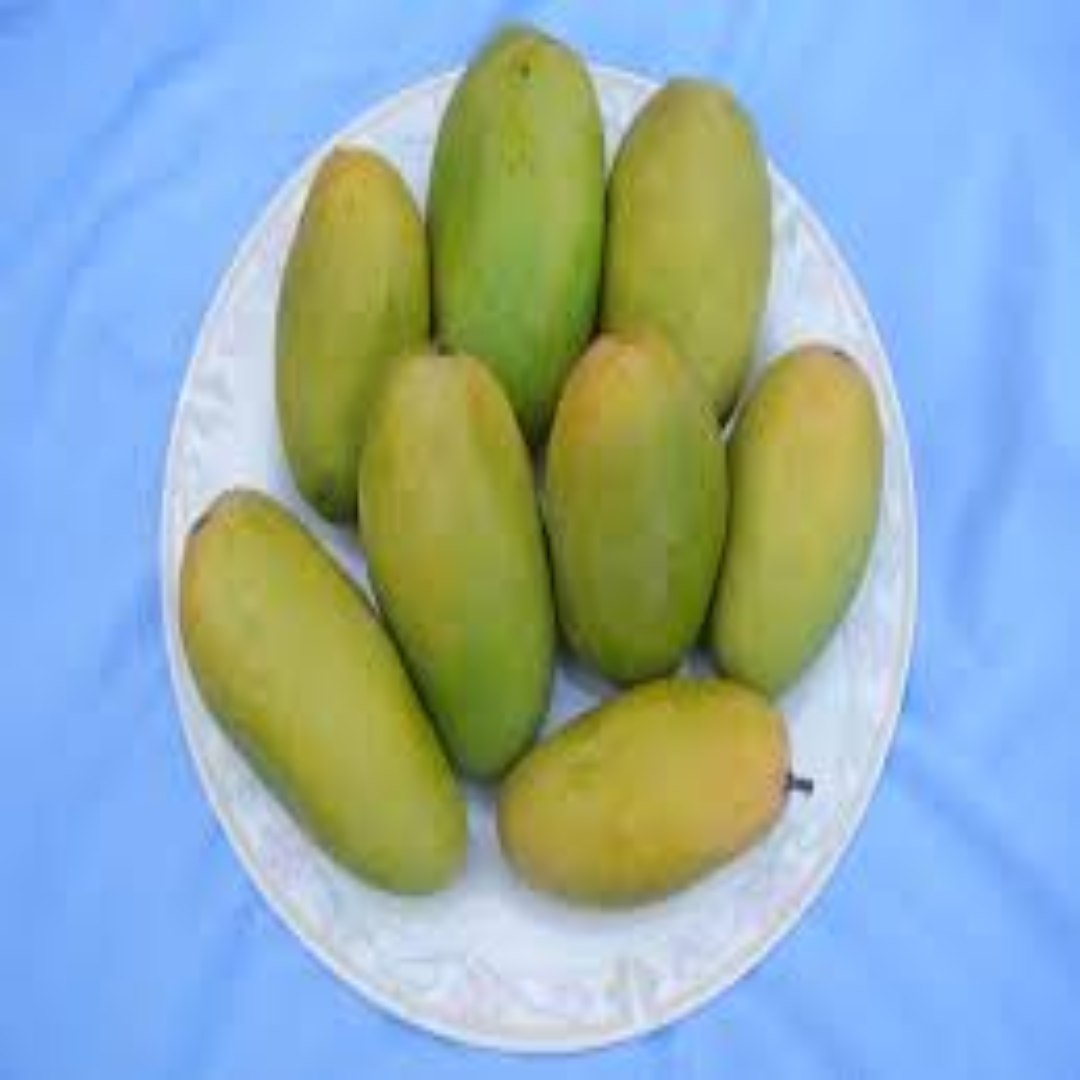 Dasheri Mangoes Offering Classic Sweetness and Farm Freshness