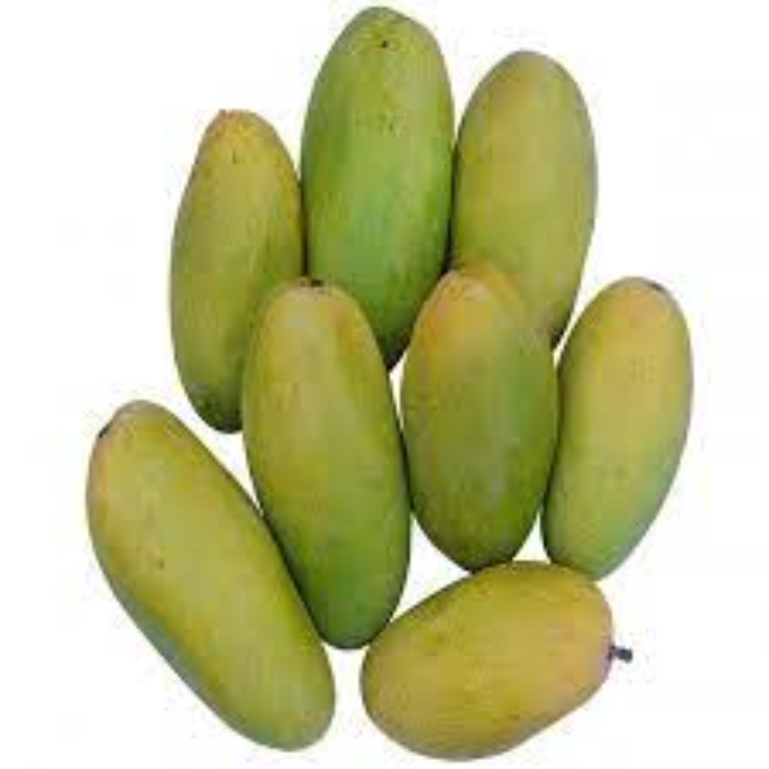 Dasheri Mango Loved for Juicy Pulp and Traditional Indian Flavor