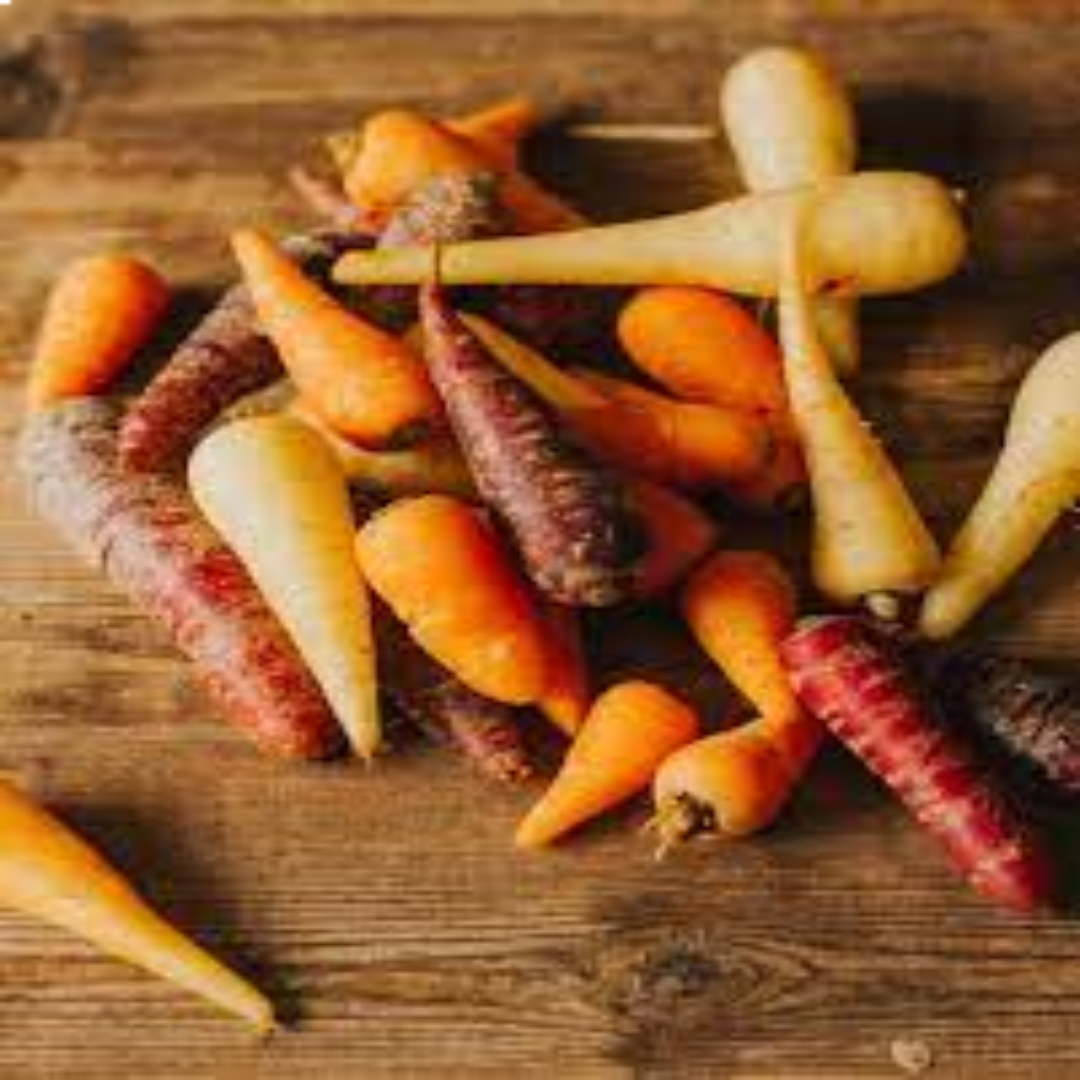 Chantenay Carrots Grown for Sweet Flavor and Premium Use