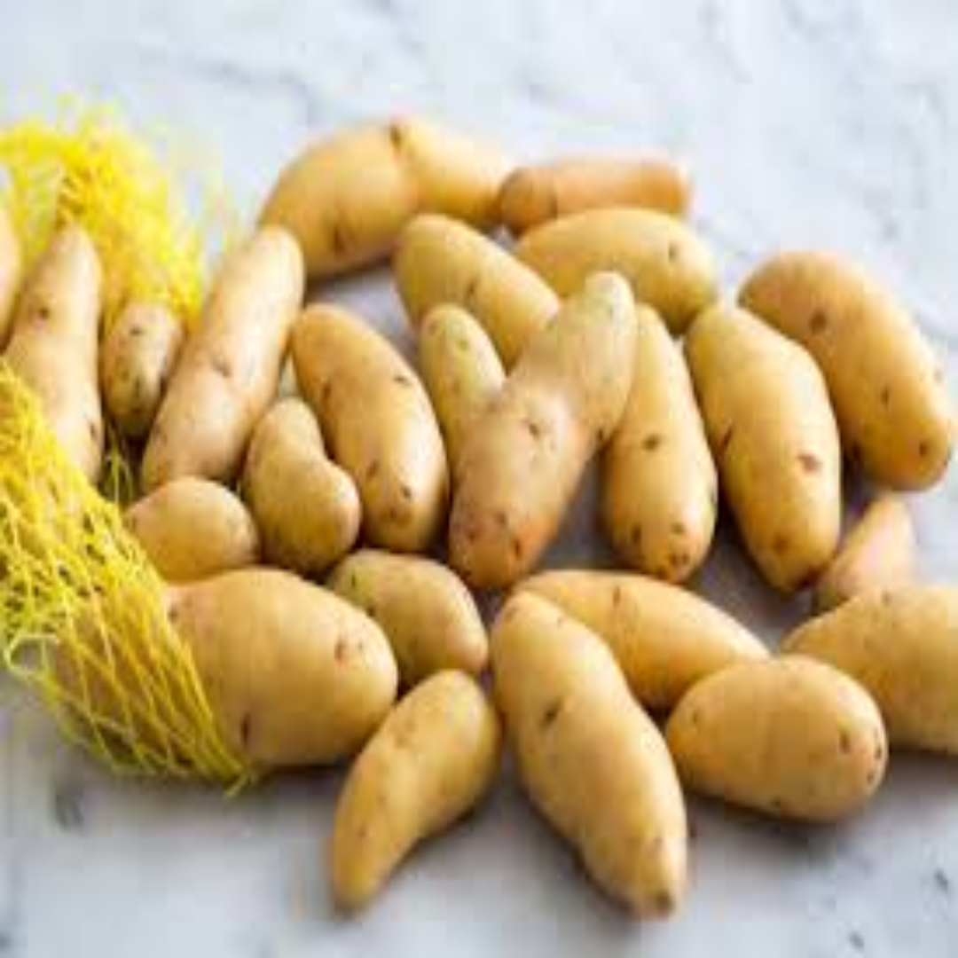 Fingerling Potatoes for Premium Produce and Export Markets