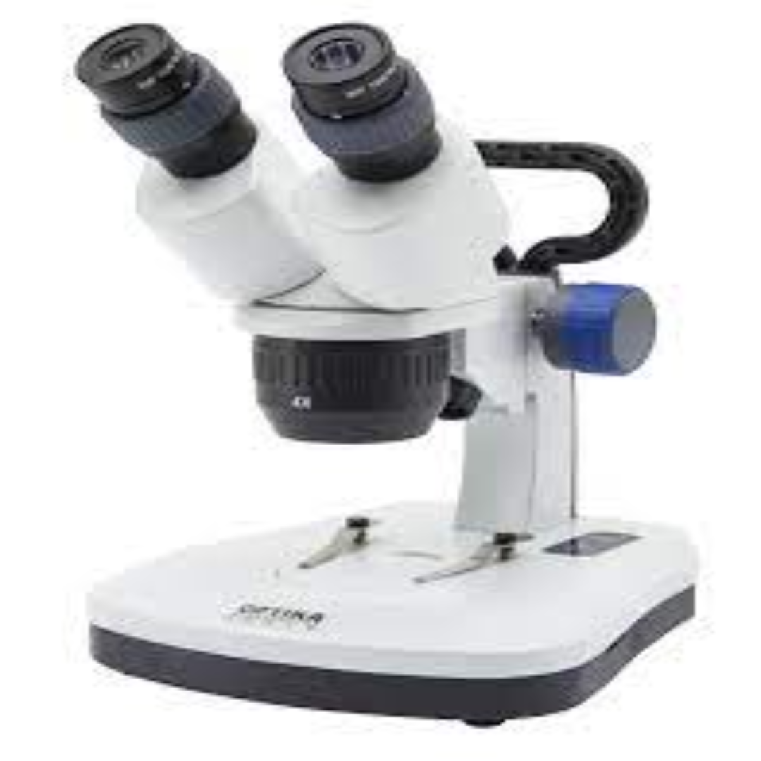 Stereo Microscopes For Detailed Lab Observations