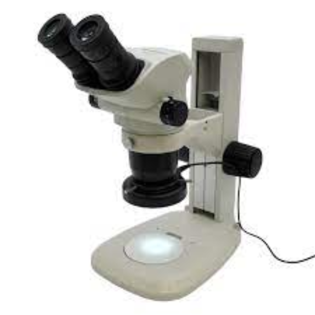 Stereo Microscopes For Precise Observation