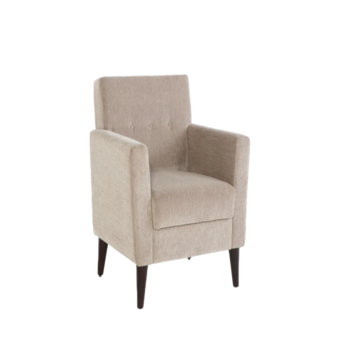 Theo Accent Chair Modern Living Room Chair USA