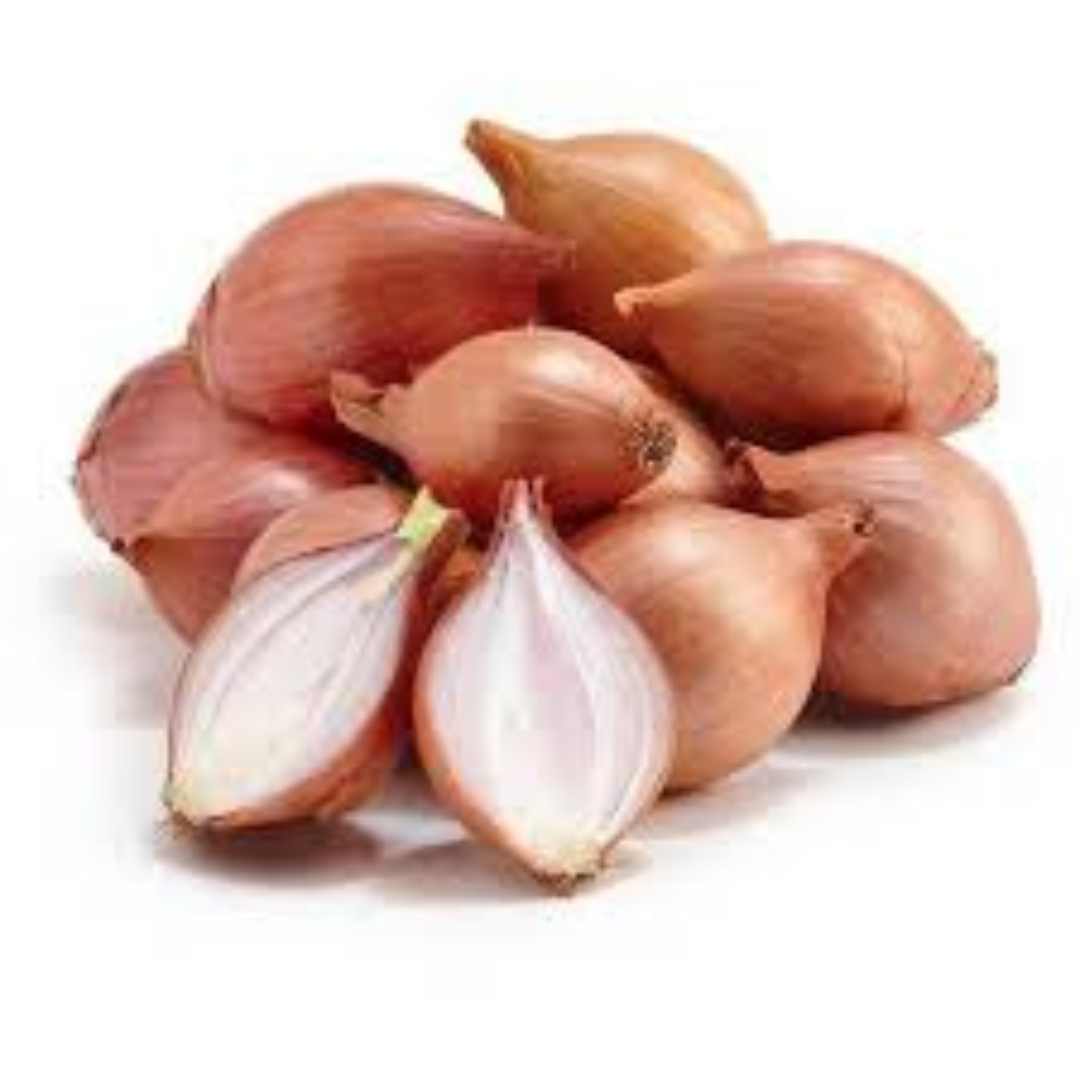 Shallot Onion for Gourmet Buyers and Export Distribution
