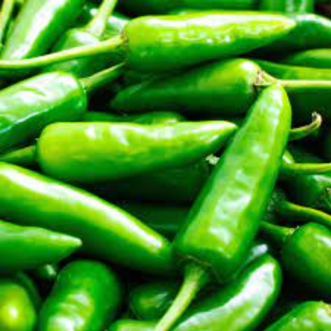 Green Chilli For Spicy Culinary Delights