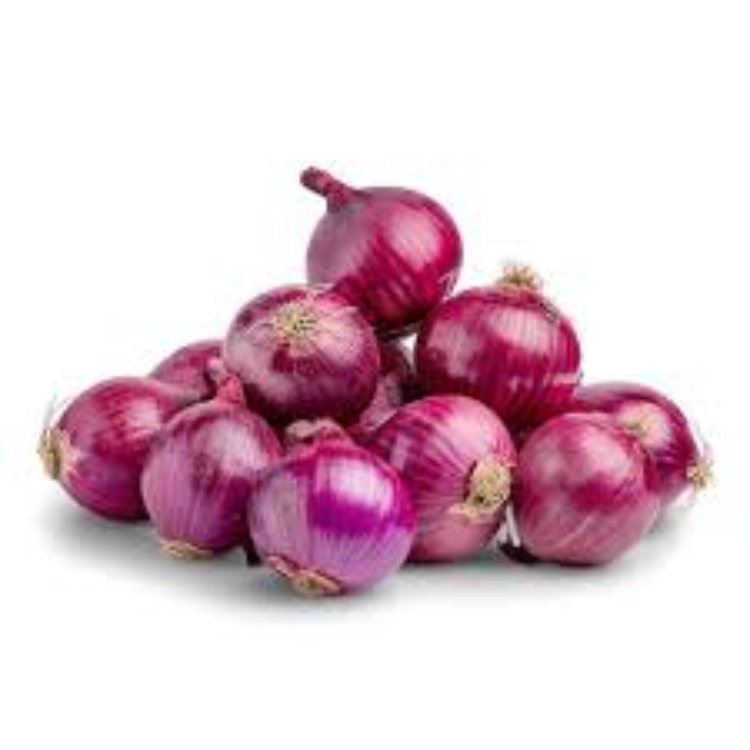 Fresh Big Onion Supplier Dubai & Exporter