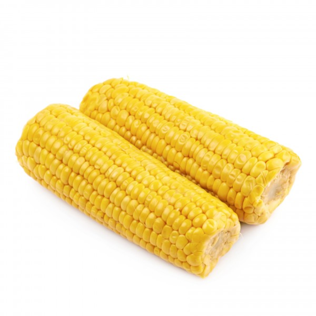 Frozen Corn on the Cob 48 Pieces 12kg Case Sweet Juicy Bulk Frozen Vegetable Premium