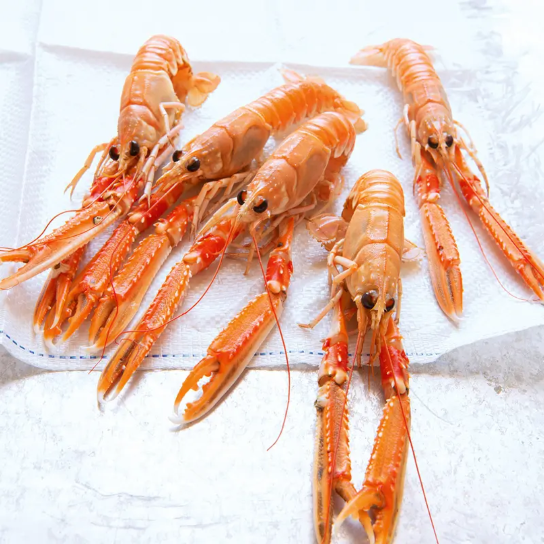 Langoustine Lobster Shellfish 800g Seafood Malaysia