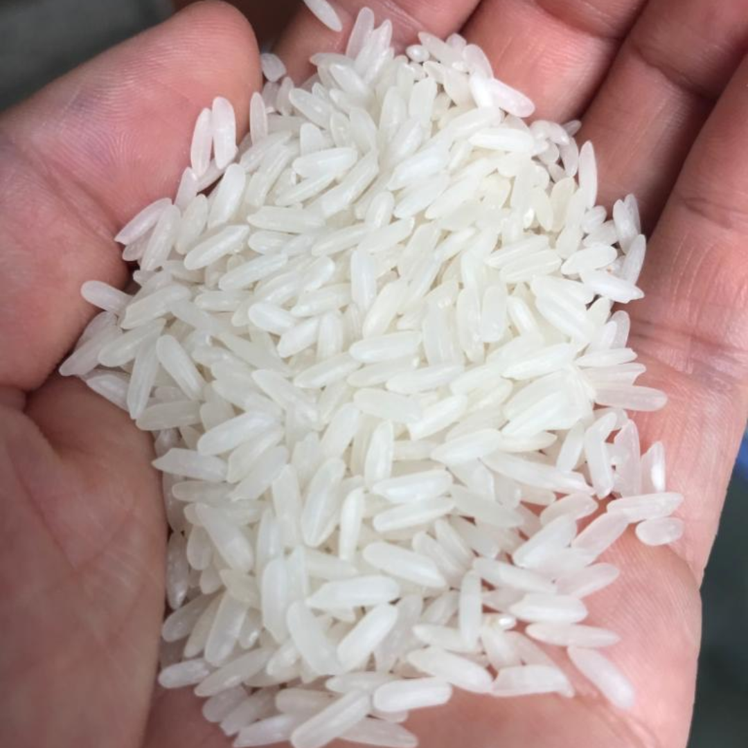 Thai Pathumthani Fragrant Rice Wholesale Fresh