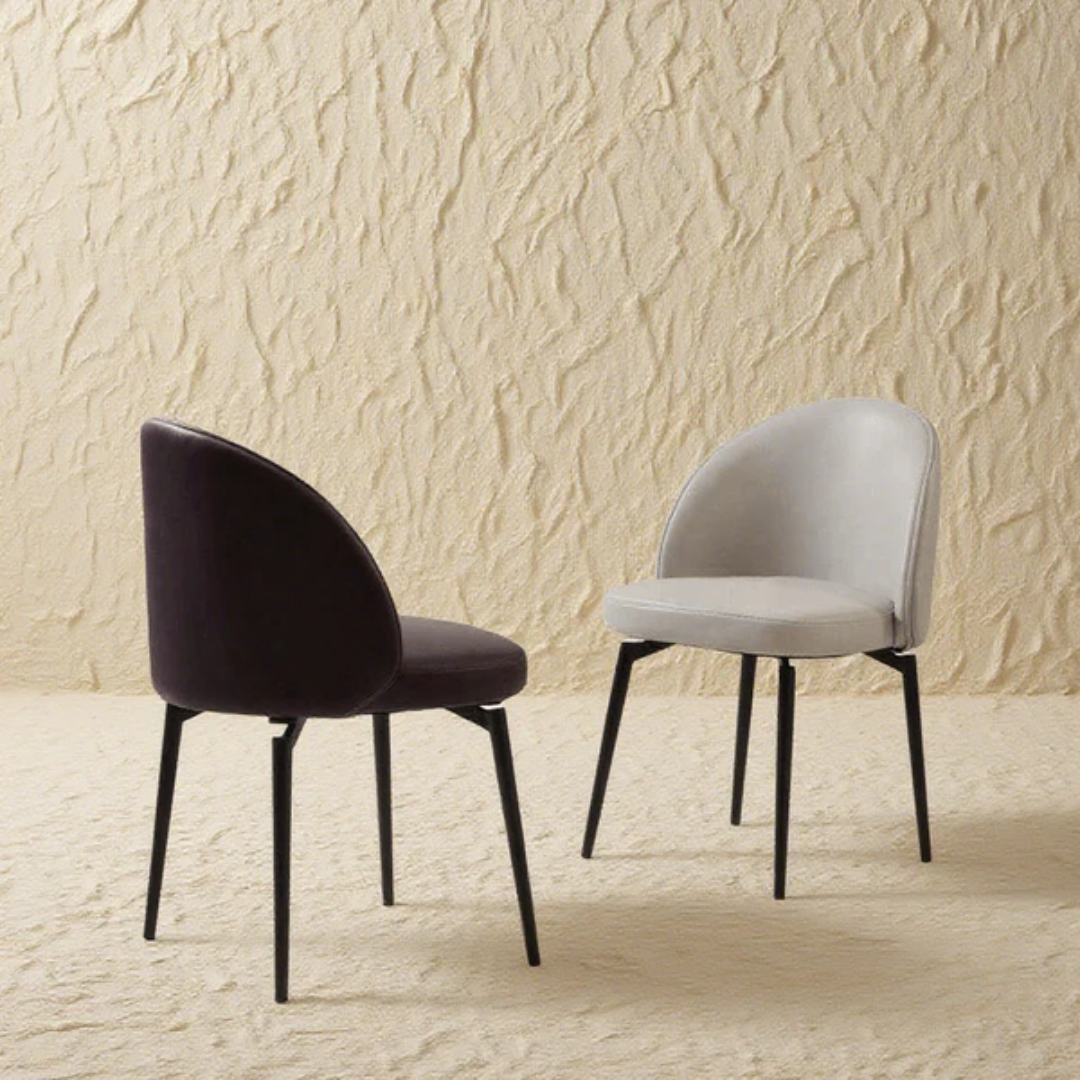 Buy Musia Dining Chair Elegant Dining Room Furniture Comfortable Stylish Seating Online