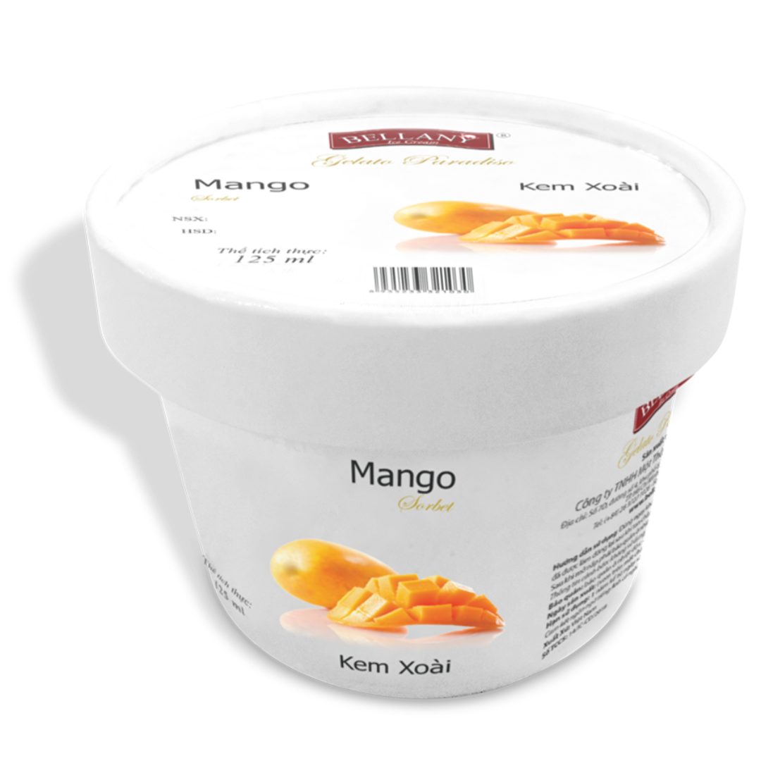 Mango Sorbet Refreshing Frozen Dessert Vietnam