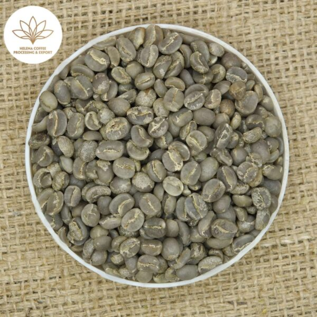 Arabica Moka Coffee Beans S16+ Vietnam Roast