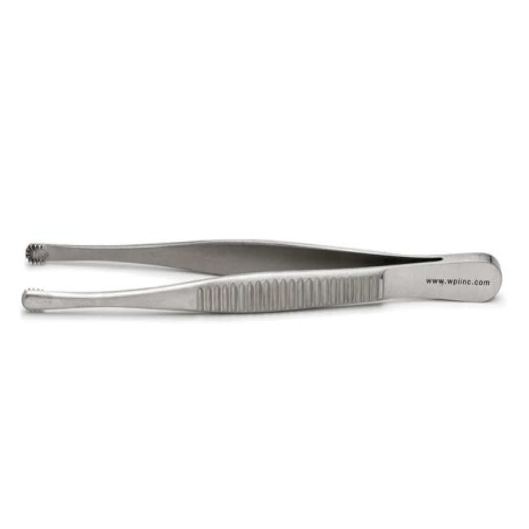 Russian Forceps 1525cm Secure Grip Surgical Tool USA