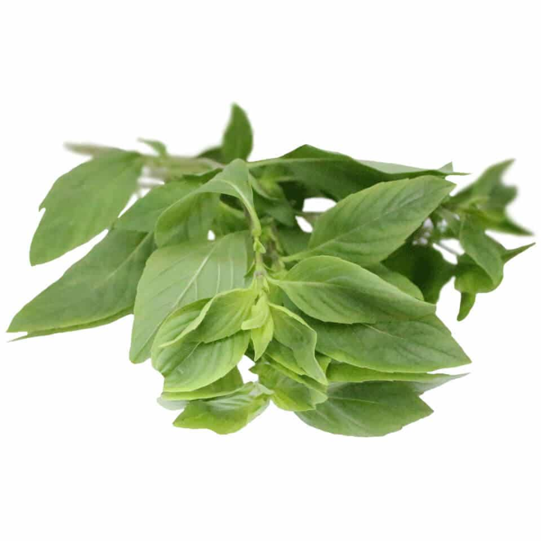 Thai Basil Bunched Herb Aromatic Herb UK Supply
