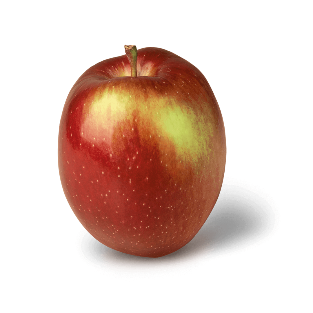 Fruit Empire Apples 3 LB Crisp Fresh Apples USA Supply
