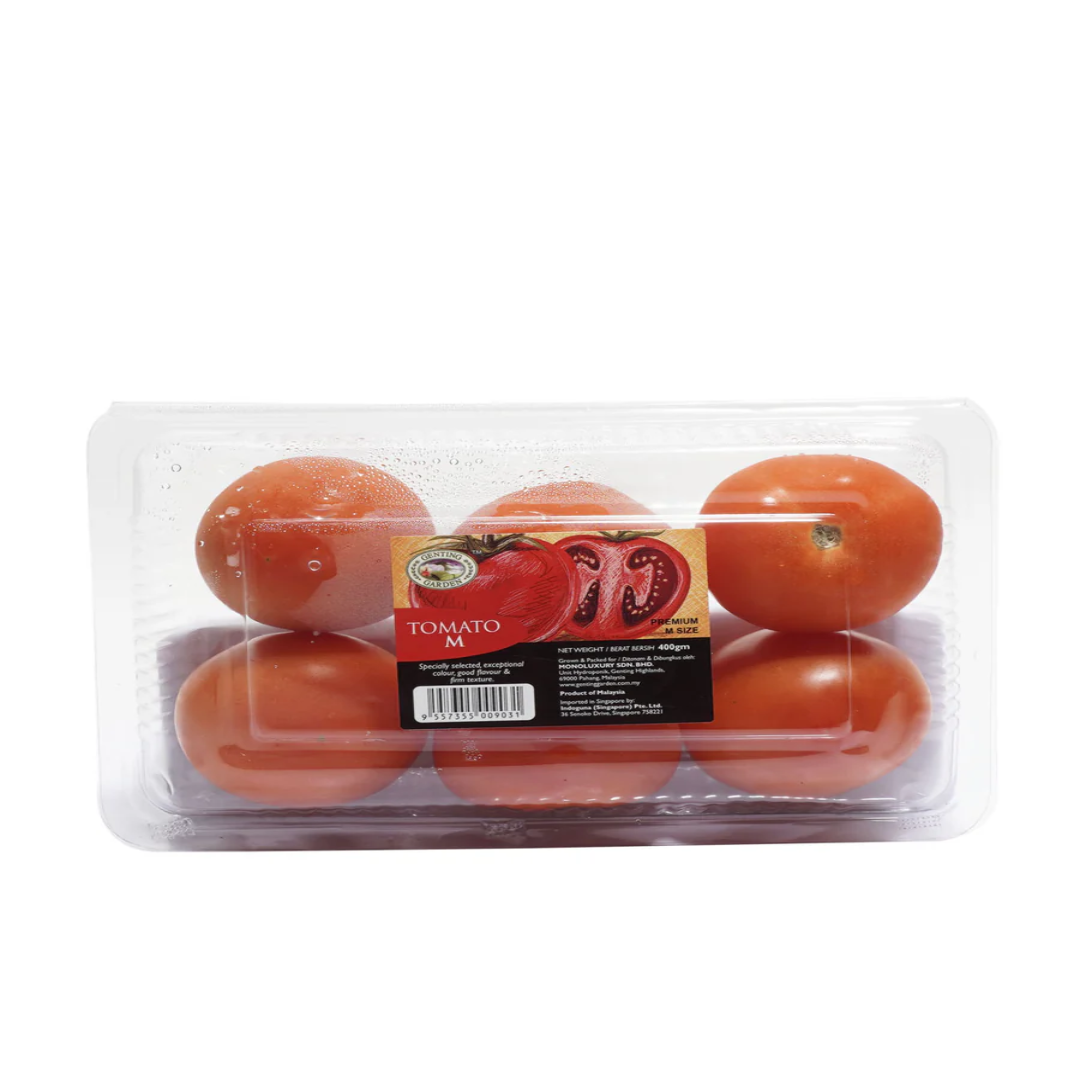 GG Tomato M 6S – Fresh Cooking Tomatoes Malaysia